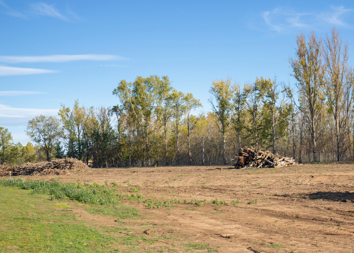 hedge land & ag management